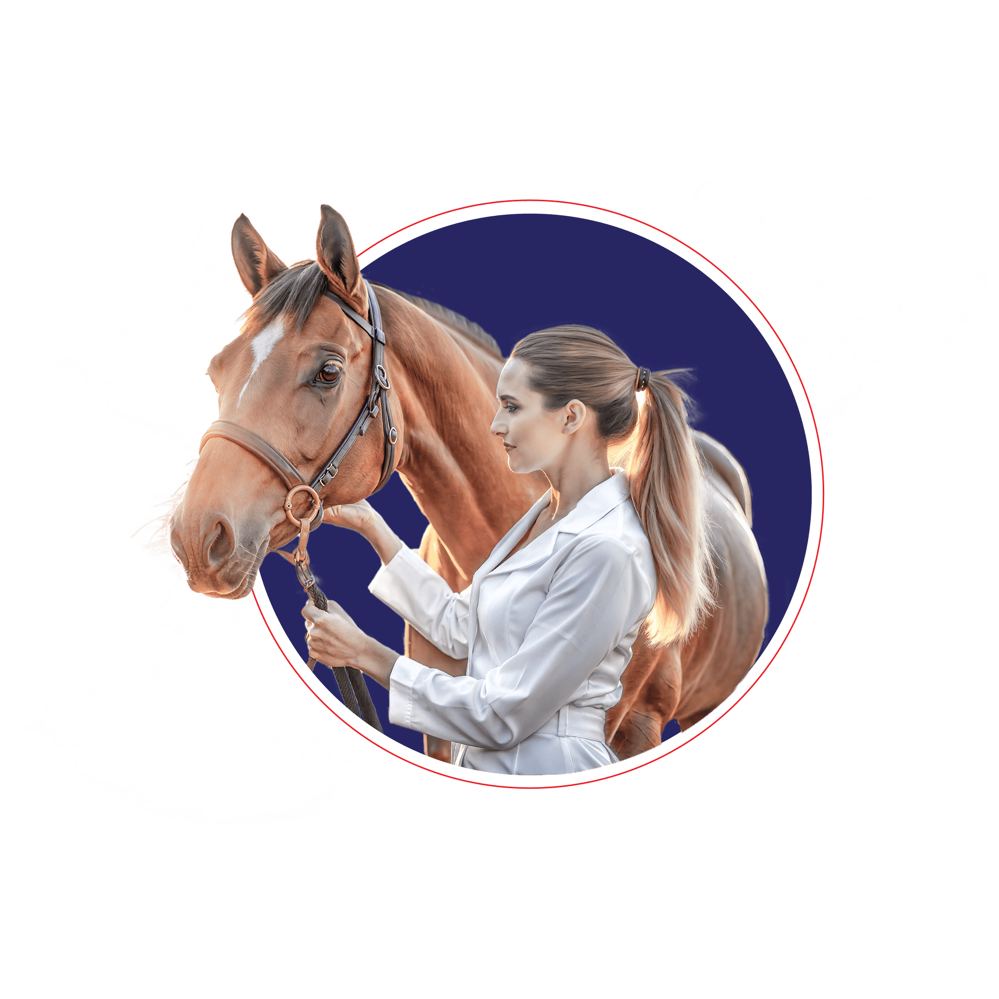Equine Care Blog