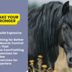 Backing Up Exercises for Strong Hindquarters