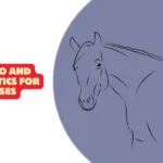 Pre Pro and Postbiotics for Horses