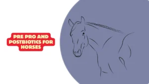 Pre Pro and Postbiotics for Horses