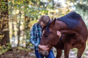 Equine Health, Safety & Training Expo 2026