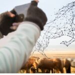 Modern technology being used for horse healthcare and equine management