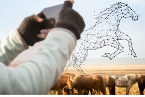Role of Technology in Modern Equine Care