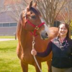 Equine Veterinary Care Conference with veterinarians discussing modern horse healthcare and wellness solutions