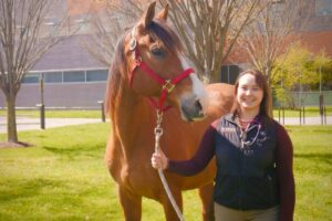 Equine Veterinary Care Conference
