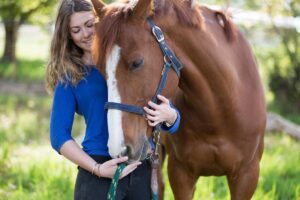 New Advances in Equine Health Care Improve Horse Safety and Performance
