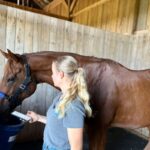 Modern stable equipped with smart sensors and technology used for advanced equine care and horse health monitoring