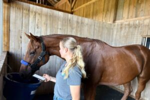 How Technology is Transforming Equine Care in Modern Stables