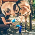Horse owner using smart equine care practices and modern stable management in 2026