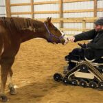 Equine Rehabilitation and Recovery Technologies Expo 2026 featuring advanced horse recovery and rehabilitation technologies