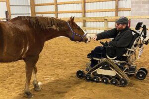 Equine Rehabilitation and Recovery Technologies Expo 2026