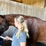 Smart Horse Care and Equine Rehabilitation Expo 2026 showcasing advanced horse health technology
