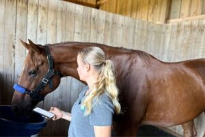 Smart Horse Care and Equine Rehabilitation Expo 2026