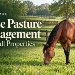 Bay horse grazing in a fenced pasture beside the title Horse Pasture Management for Small Properties.