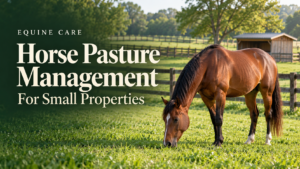 Horse Pasture Management for Small Properties: The Complete Owner Guide