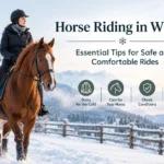 Horse Riding in Winter - Essential Tips for Safe and Comfortable Rides