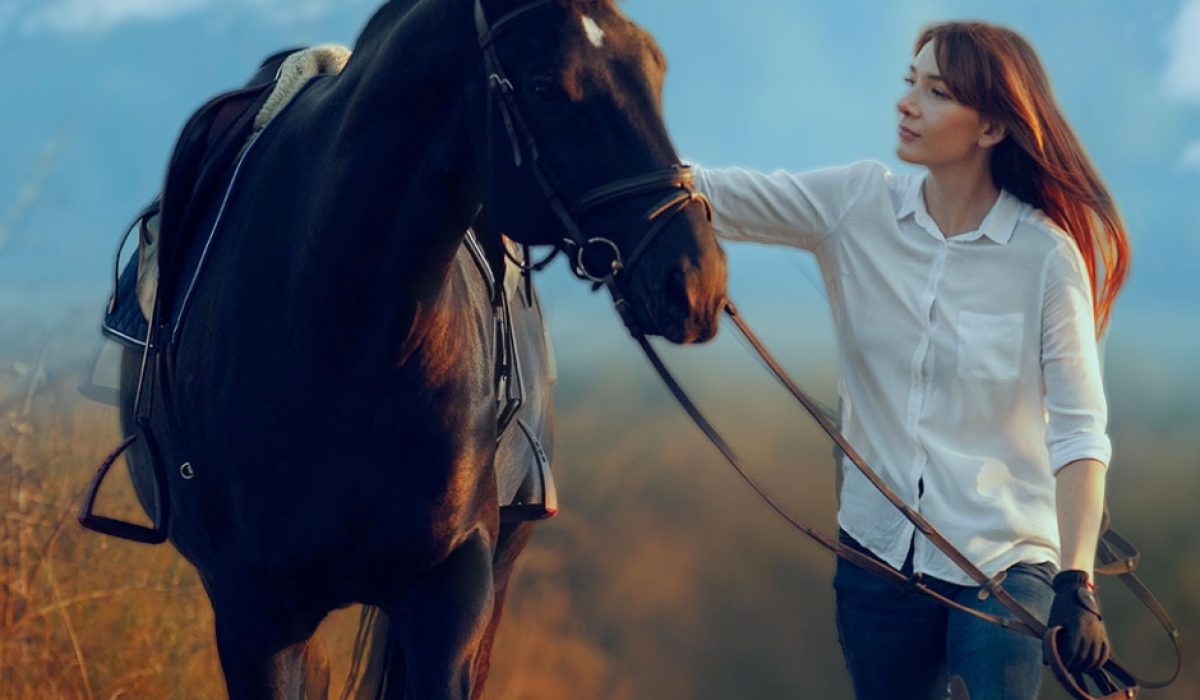 Refillable horse grooming bottles and eco-friendly grooming tools