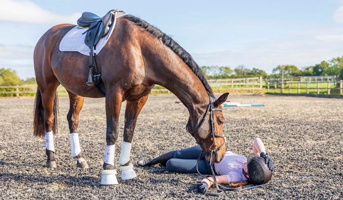 showjumping rider fall concussion safety rule
