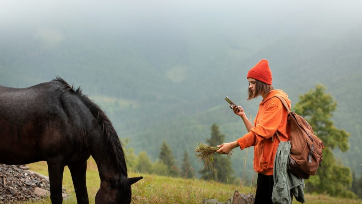 Beginner farrier using hoof nippers to trim a horse’s hoof correctly