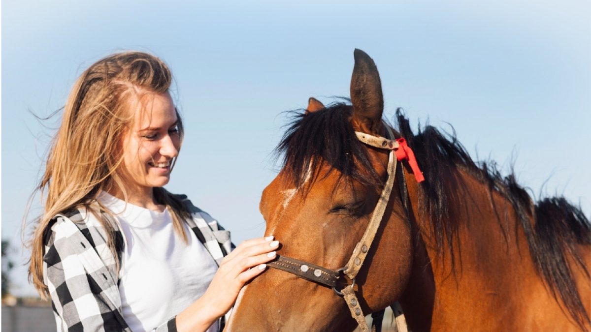 Farrier performing corrective hoof trimming to improve hoof balance and movement