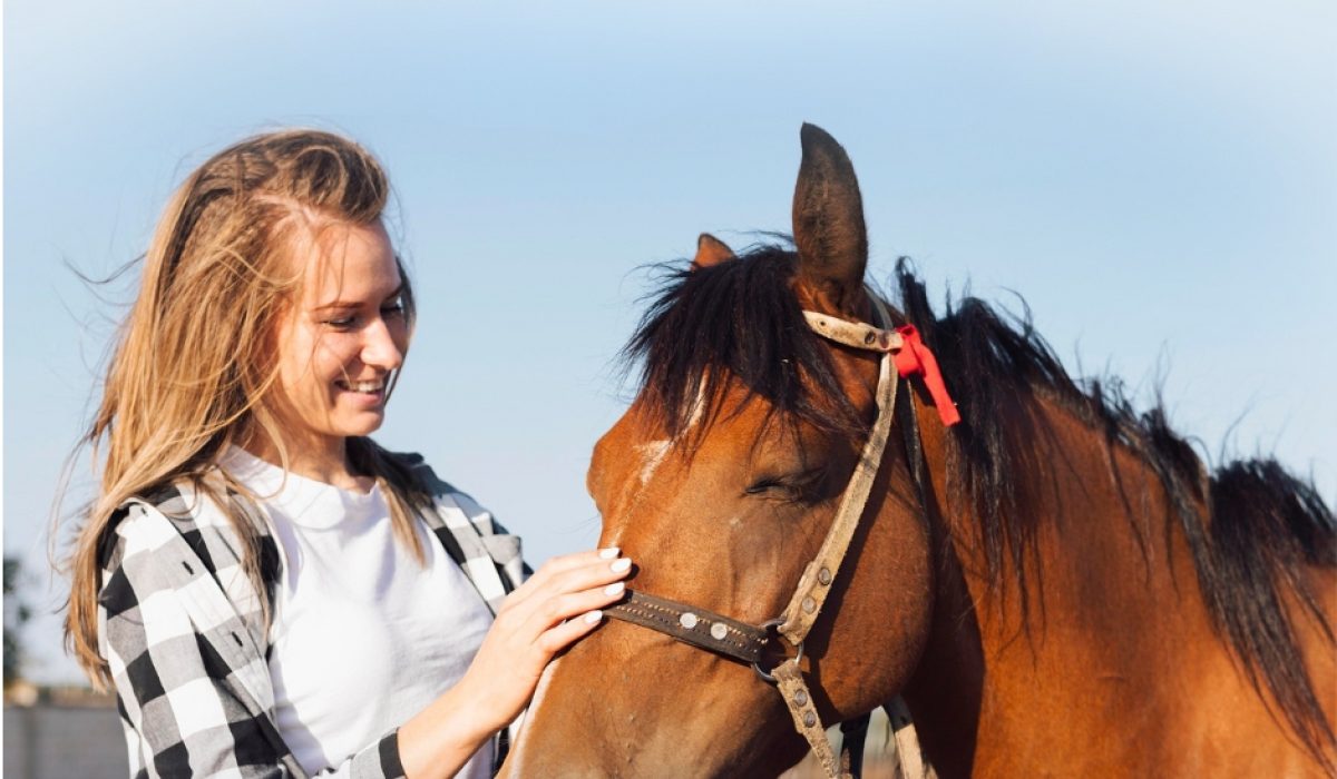 Farrier performing corrective hoof trimming to improve hoof balance and movement