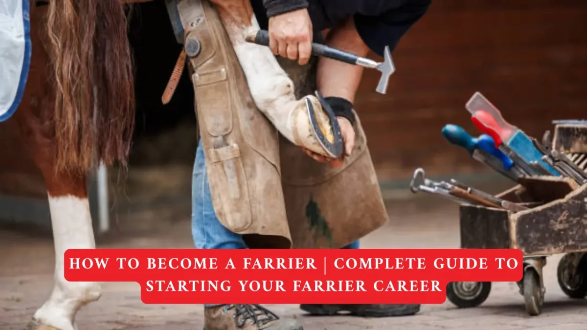 How to Become a Farrier Complete Guide to Starting Your Farrier Career in 2026
