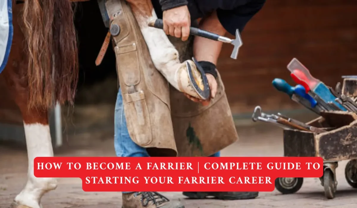 How to Become a Farrier Complete Guide to Starting Your Farrier Career in 2026
