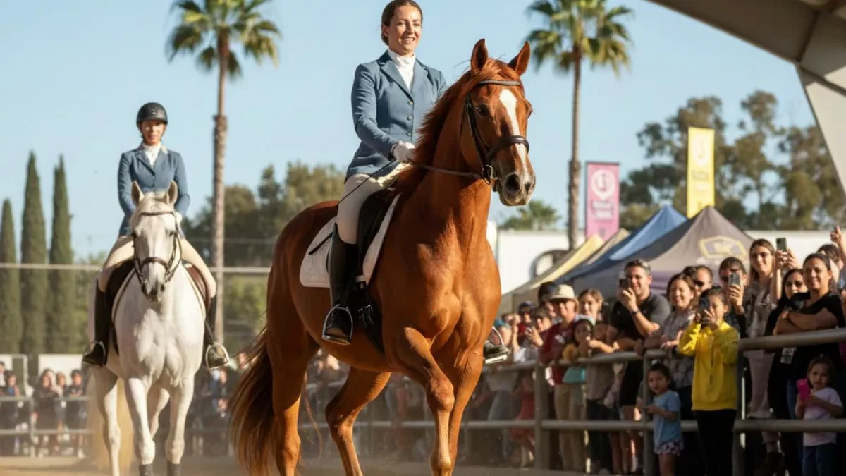 Los Angeles Equestrian Center Events 2026