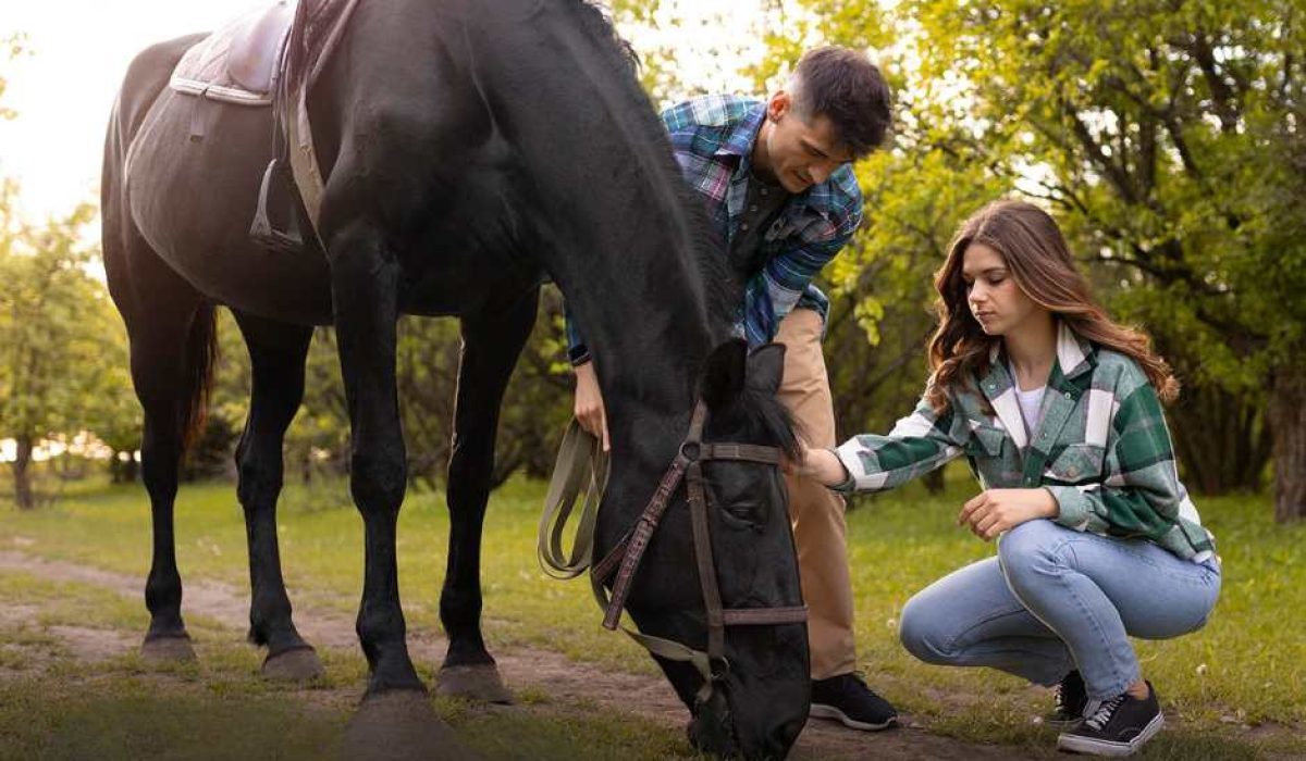 Horse eating forage calmly in a low-stress stable environment
