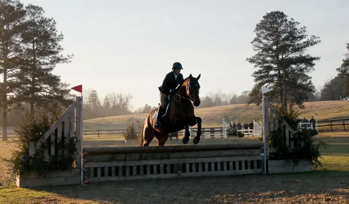 Saddle pad placed correctly under a saddle to support horse back health