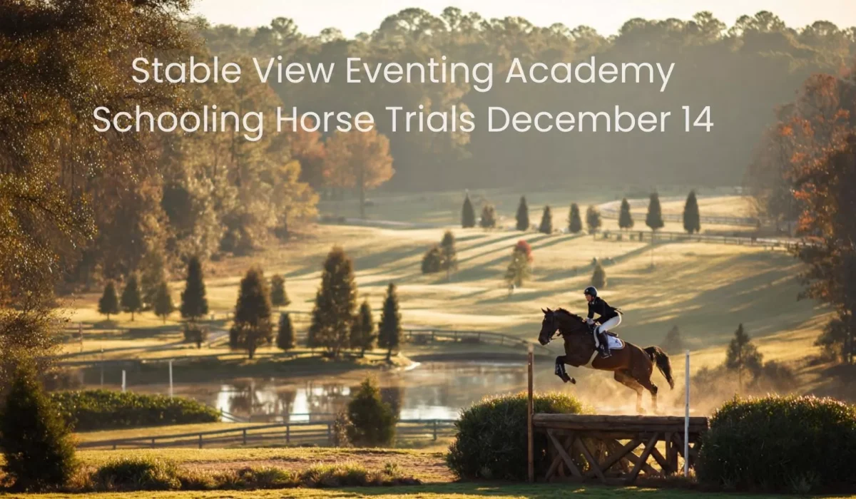 Stable View Eventing Academy Schooling Horse Trials December 14