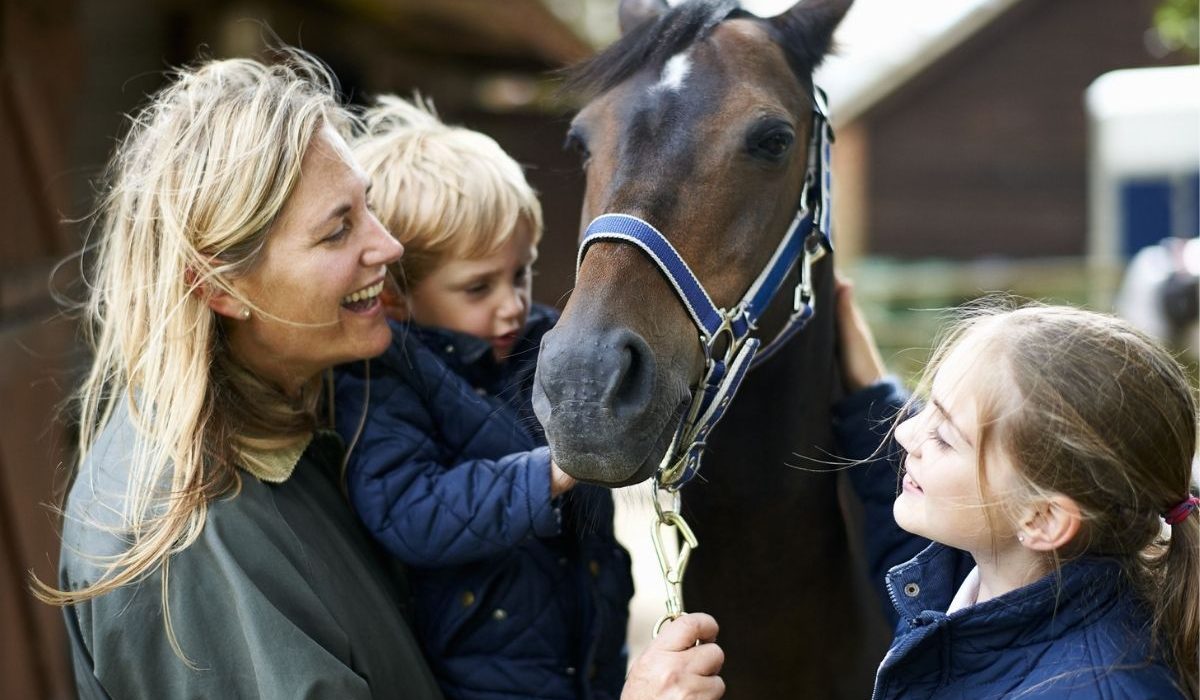 Horse Pro Forum 2026 highlights innovations in stable management and horse care with modern equine technologies