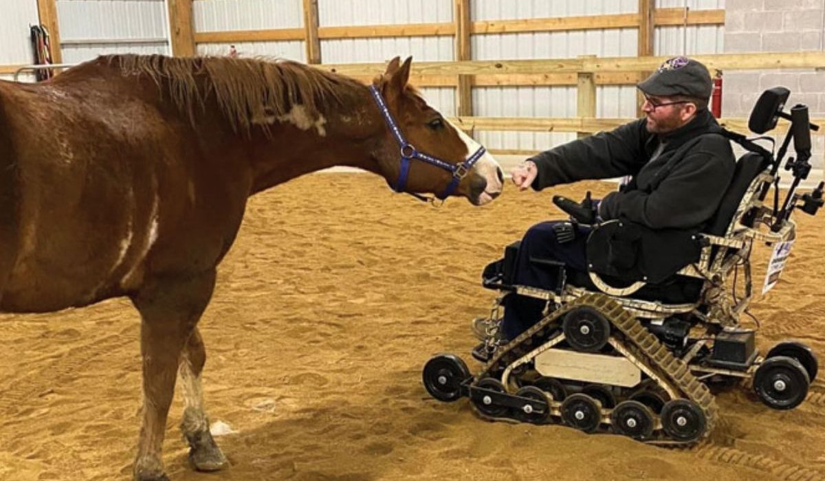 Equine Rehabilitation and Recovery Technologies Expo 2026 featuring advanced horse recovery and rehabilitation technologies