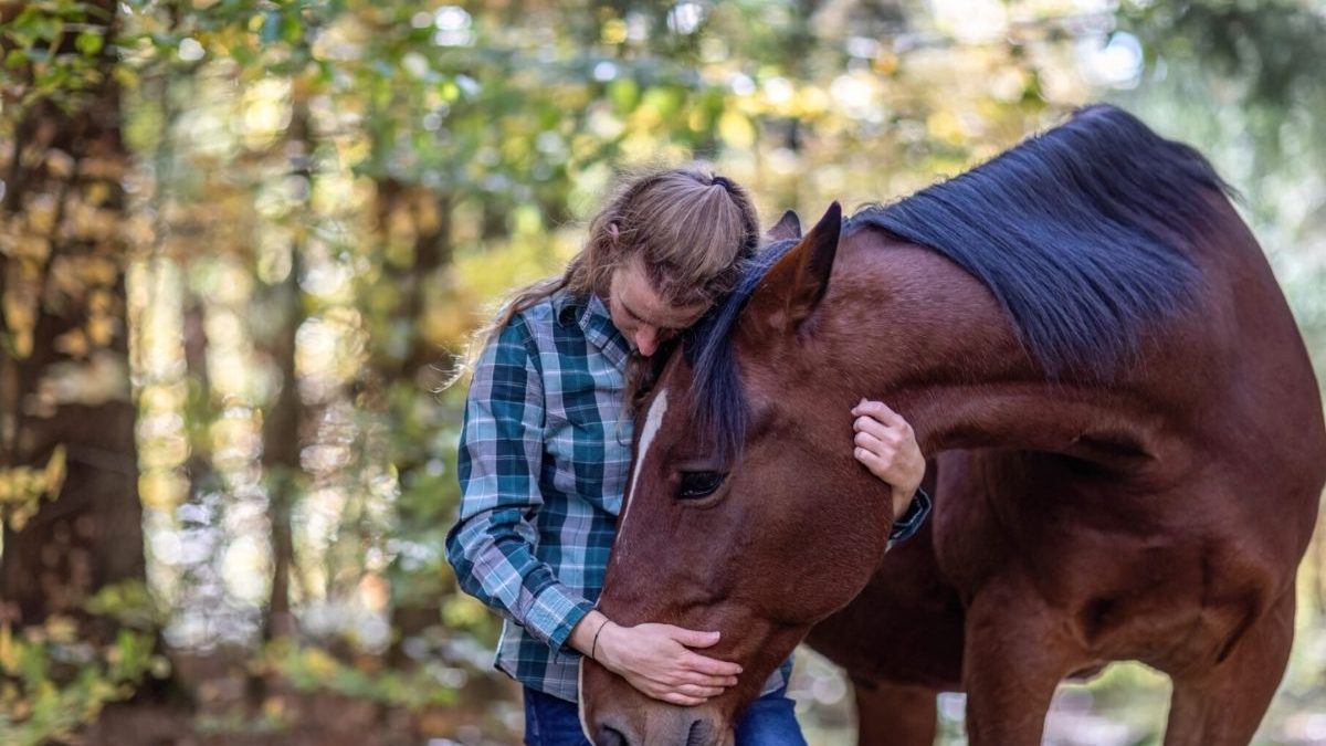 Horse trainers and riders participating in Equine Health Safety and Training Expo 2026.