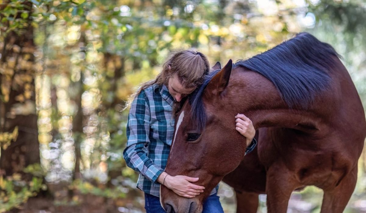 Horse trainers and riders participating in Equine Health Safety and Training Expo 2026.