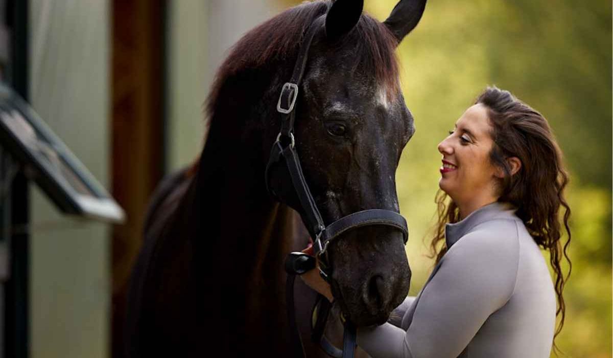 Healthy senior horse enjoying proper care and nutrition