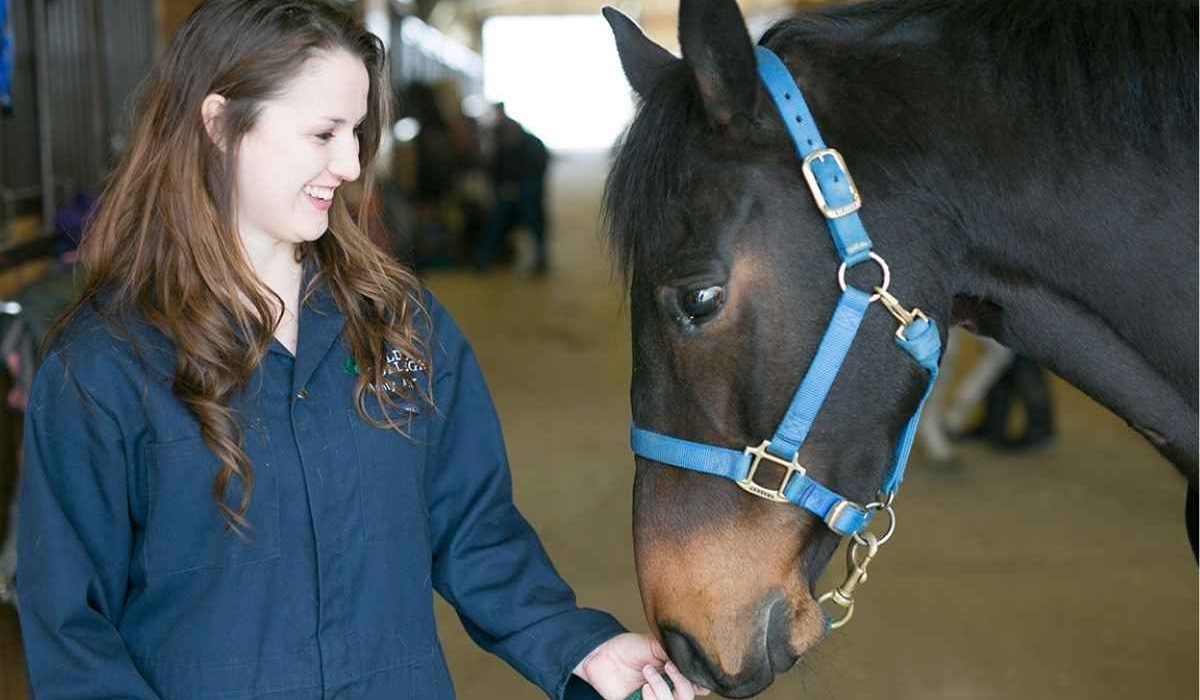 Advanced Equine Care & Management Expo event showcasing horse care innovations