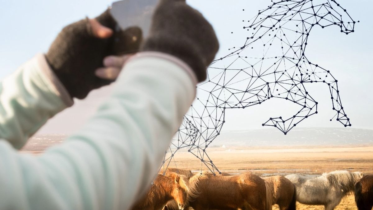 Modern technology being used for horse healthcare and equine management