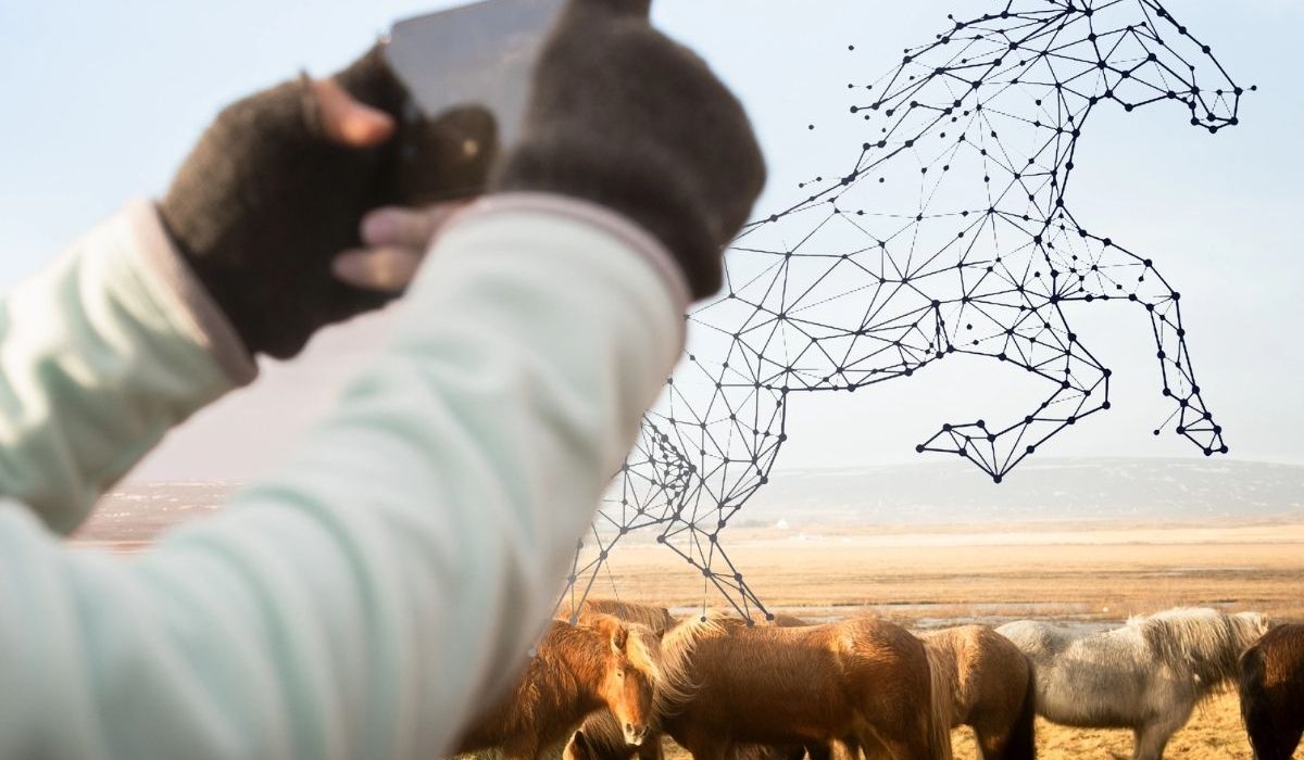 Modern technology being used for horse healthcare and equine management