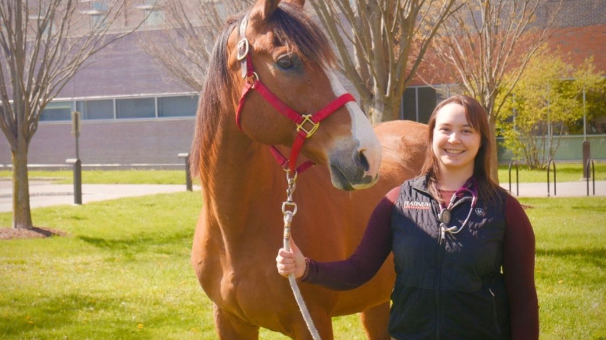 Equine Veterinary Care Conference with veterinarians discussing modern horse healthcare and wellness solutions