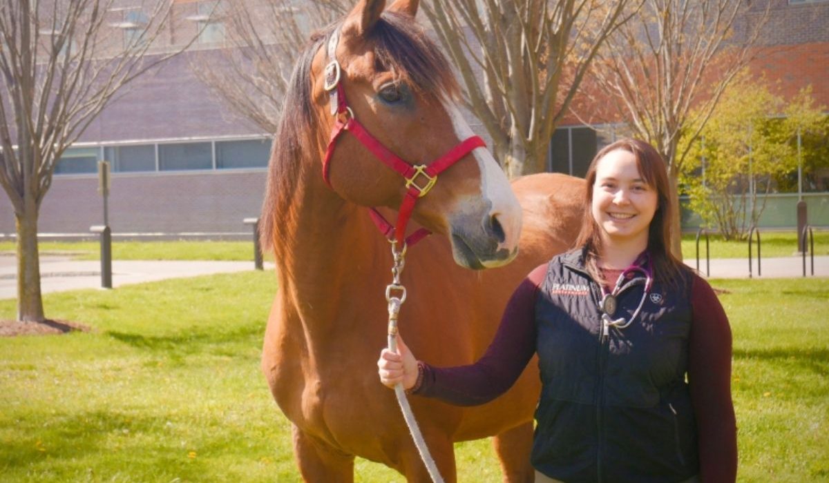 Equine Veterinary Care Conference with veterinarians discussing modern horse healthcare and wellness solutions