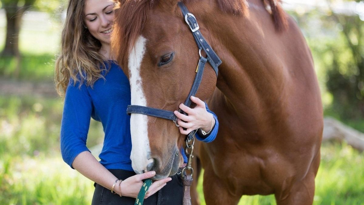 Veterinarians using advanced equine healthcare technology to improve horse safety and performance