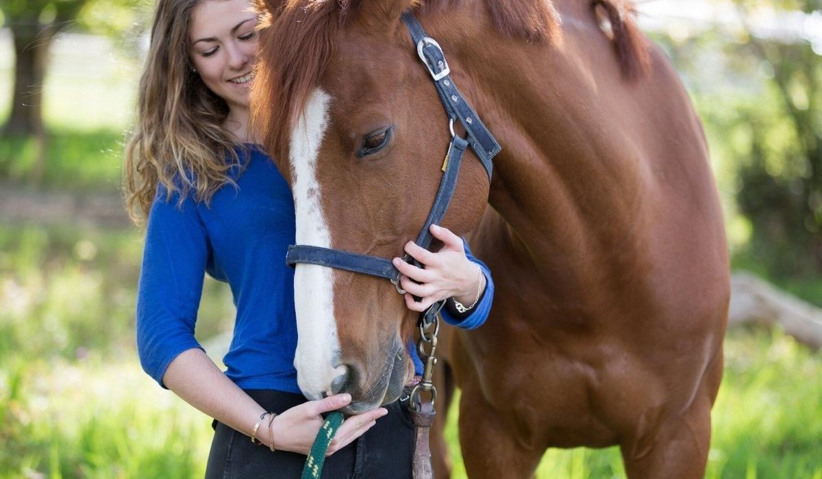Veterinarians using advanced equine healthcare technology to improve horse safety and performance
