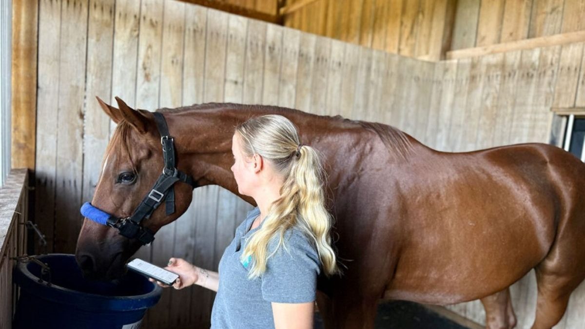 Modern stable equipped with smart sensors and technology used for advanced equine care and horse health monitoring