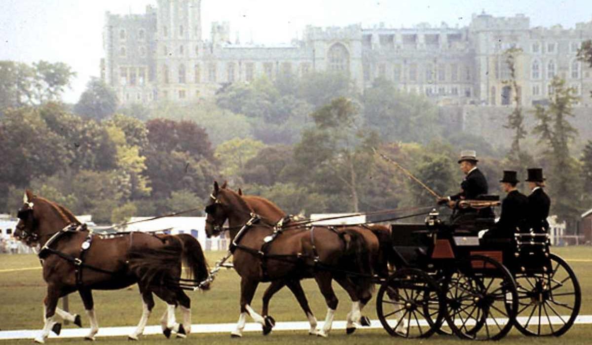 Royal Windsor Horse Show equestrian competition