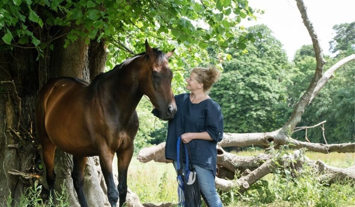 Horse welfare and animal wellbeing in 2026 with healthy horses receiving professional care