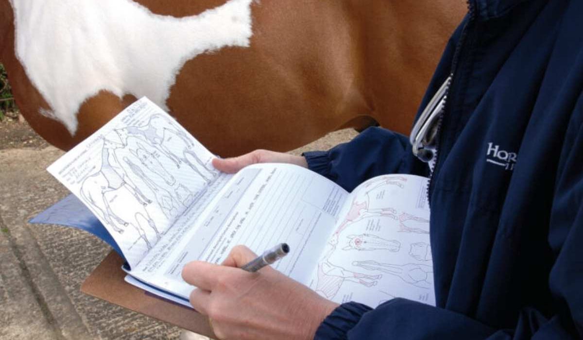 Digital Passports and Traceability Revolutionizing Equine Care through advanced horse identification and health tracking