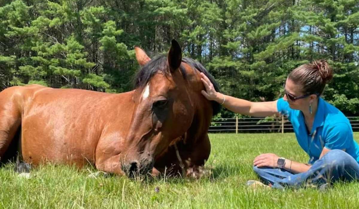 Horse showing signs of free fecal water syndrome related to hindgut imbalance