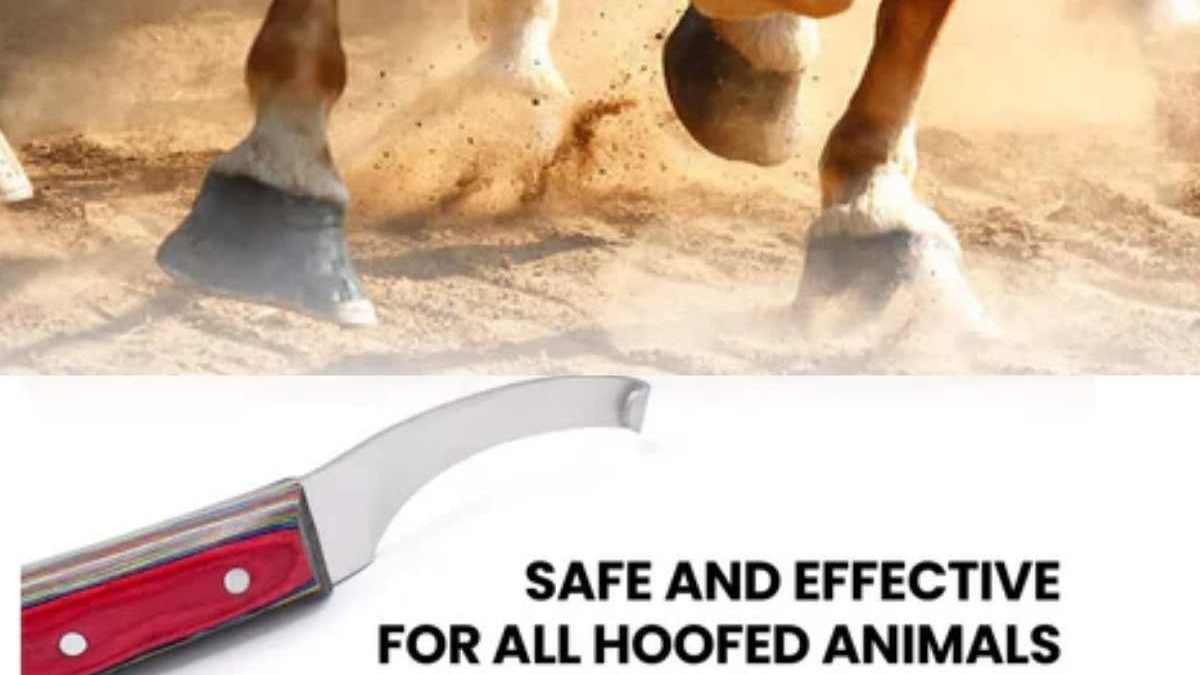 hoof knife blade angle design for precise trimming