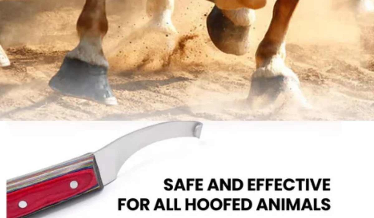 hoof knife blade angle design for precise trimming